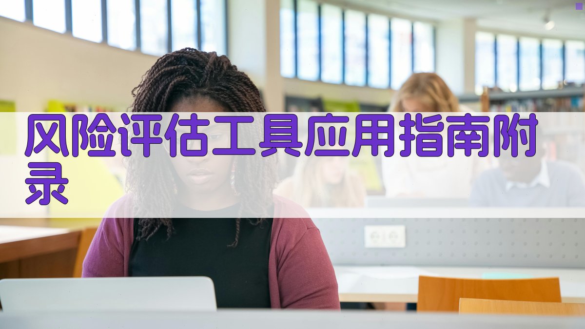 风险评估工具应用指南 · 附录 图3