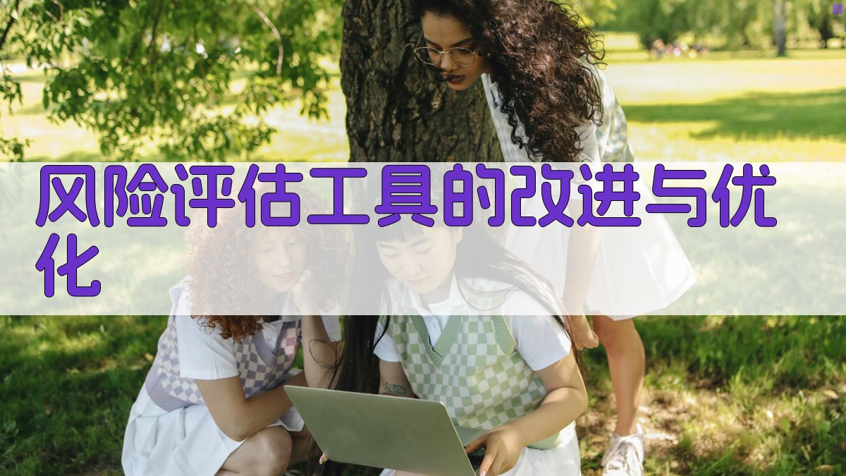 风险评估工具的改进与优化 图4