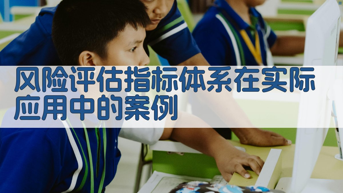 风险评估指标体系在实际应用中的案例 图2