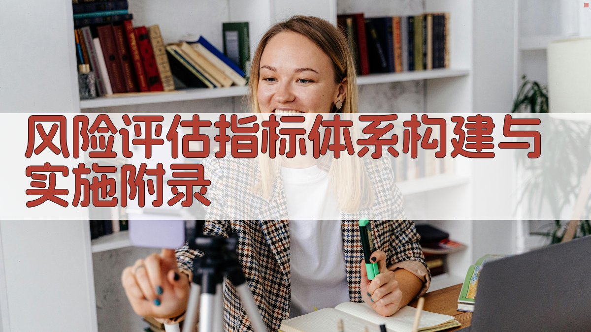 风险评估指标体系构建与实施 · 附录 图2