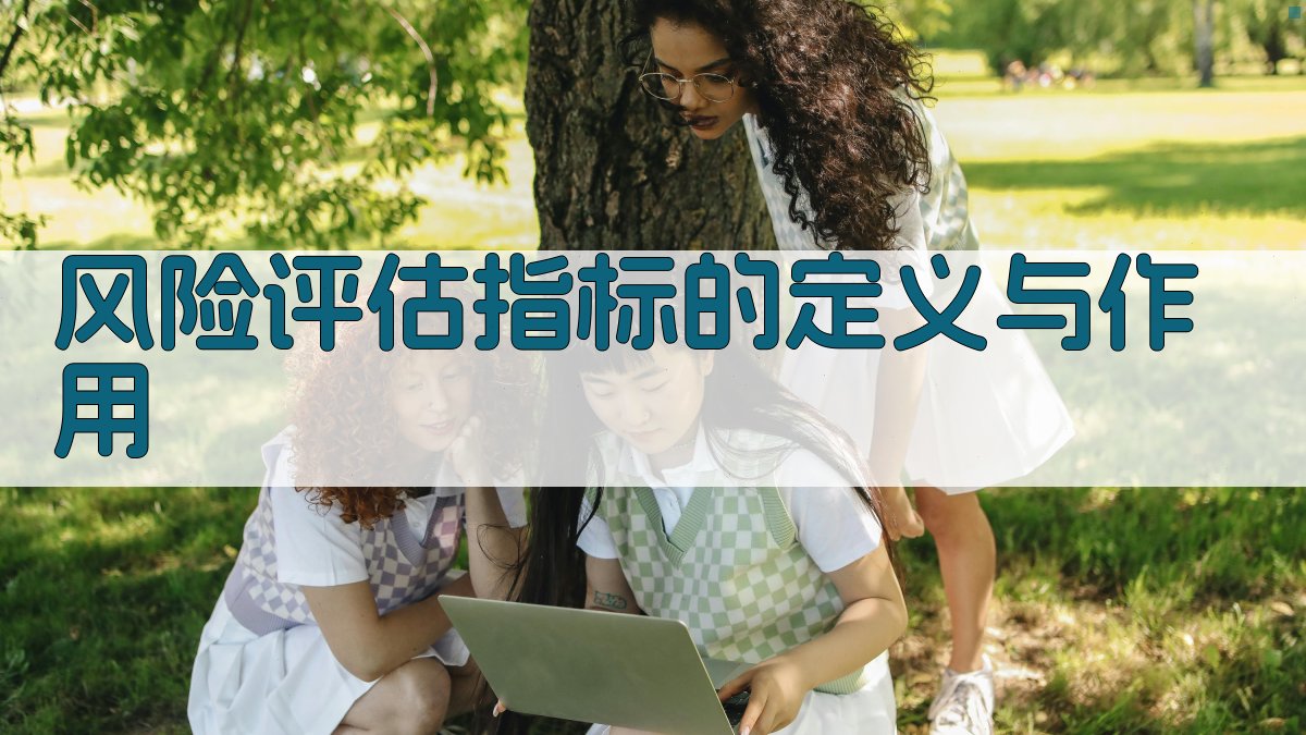 风险评估指标的定义与作用 图1