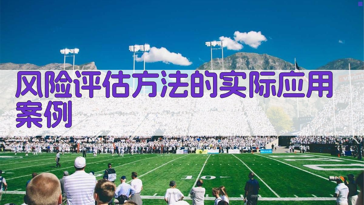 风险评估方法的实际应用案例 图2