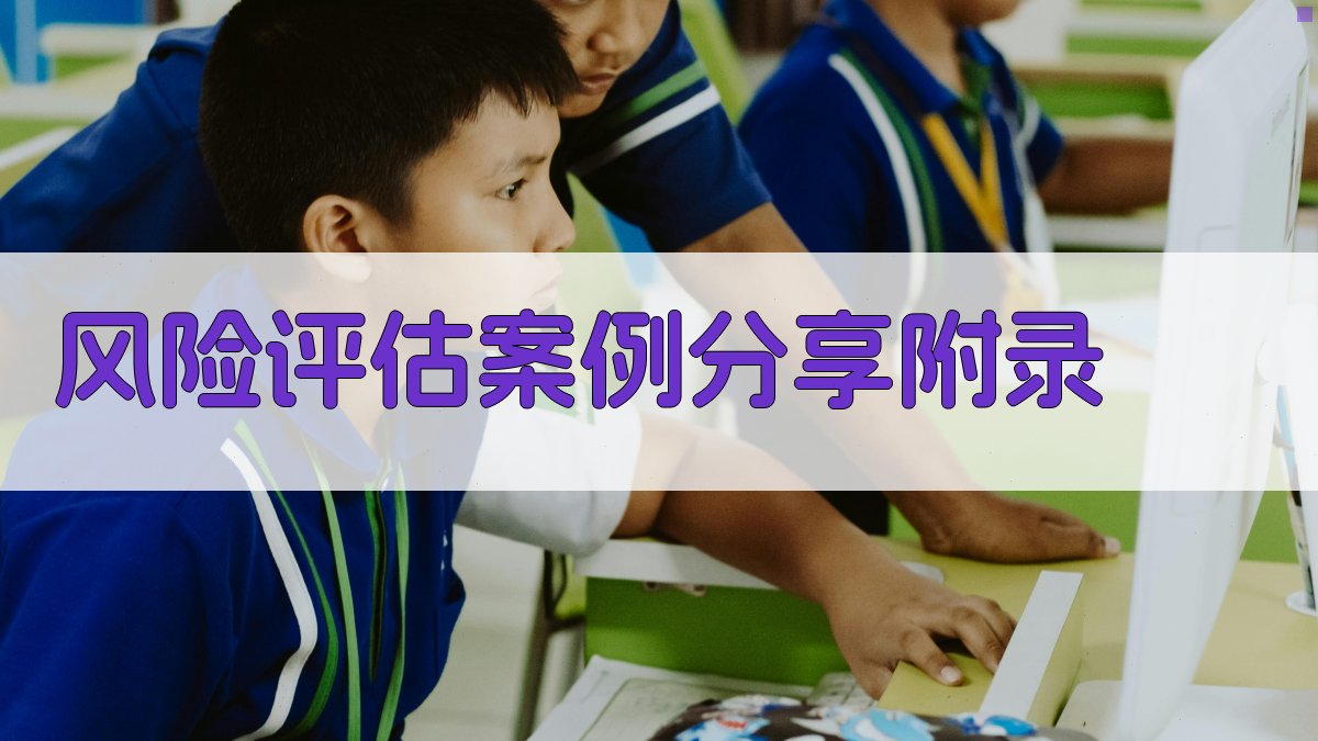 风险评估案例分享 · 附录 图1