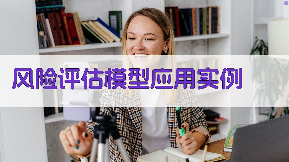 风险评估模型应用实例 图1