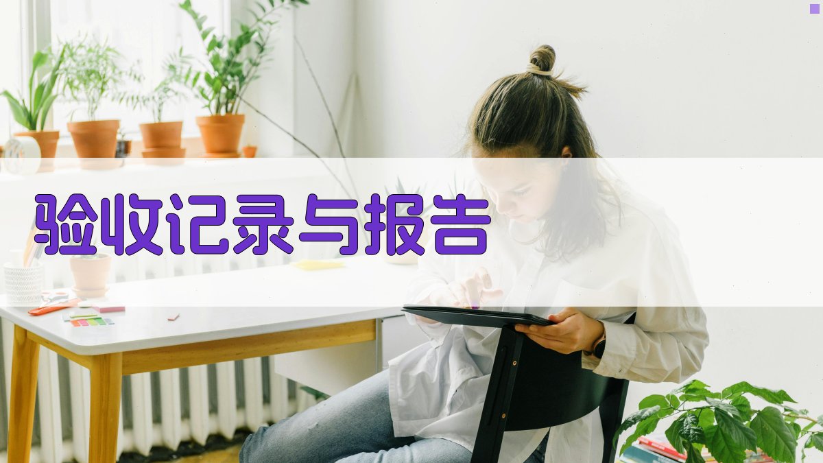 验收记录与报告 图1