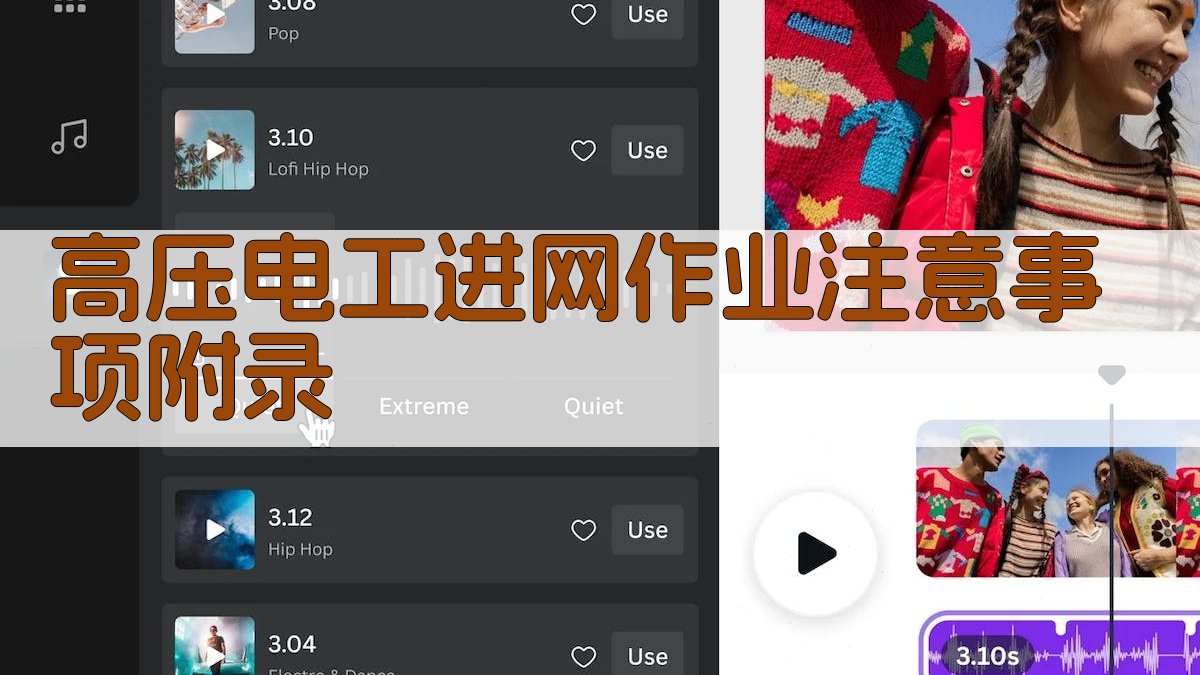 高压电工进网作业注意事项 · 附录 图4