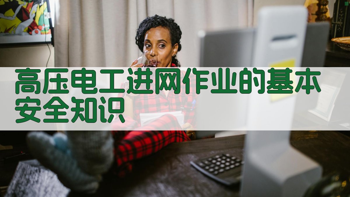高压电工进网作业的基本安全知识 图2