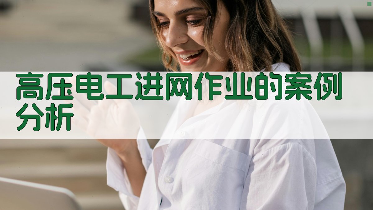 高压电工进网作业的案例分析 图3