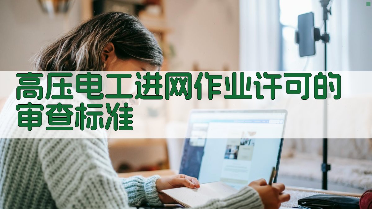 高压电工进网作业许可的审查标准 图2