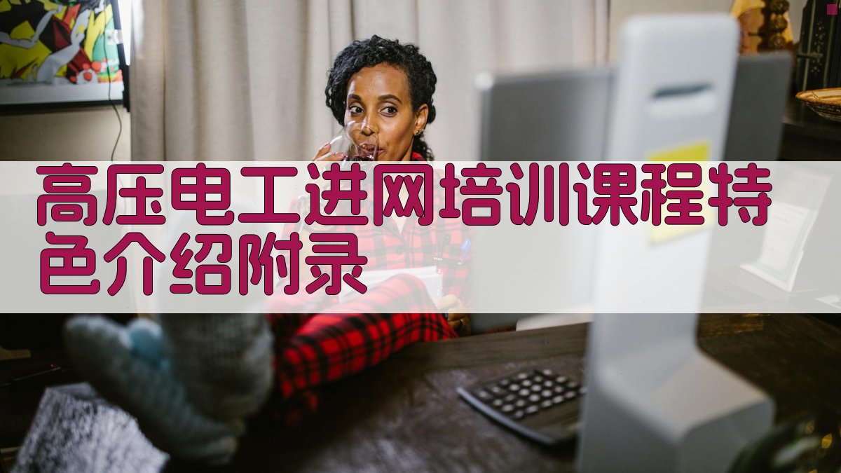 高压电工进网培训课程特色介绍 · 附录 图5