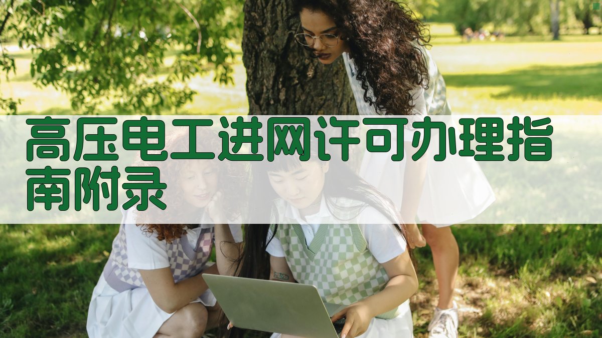 高压电工进网许可办理指南 · 附录 图5