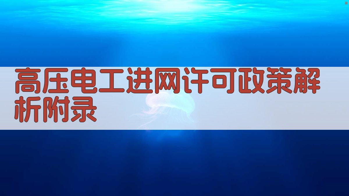 高压电工进网许可政策解析 · 附录 图5