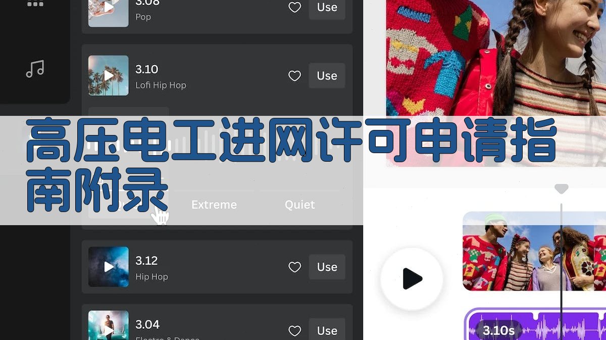 高压电工进网许可申请指南 · 附录 图4