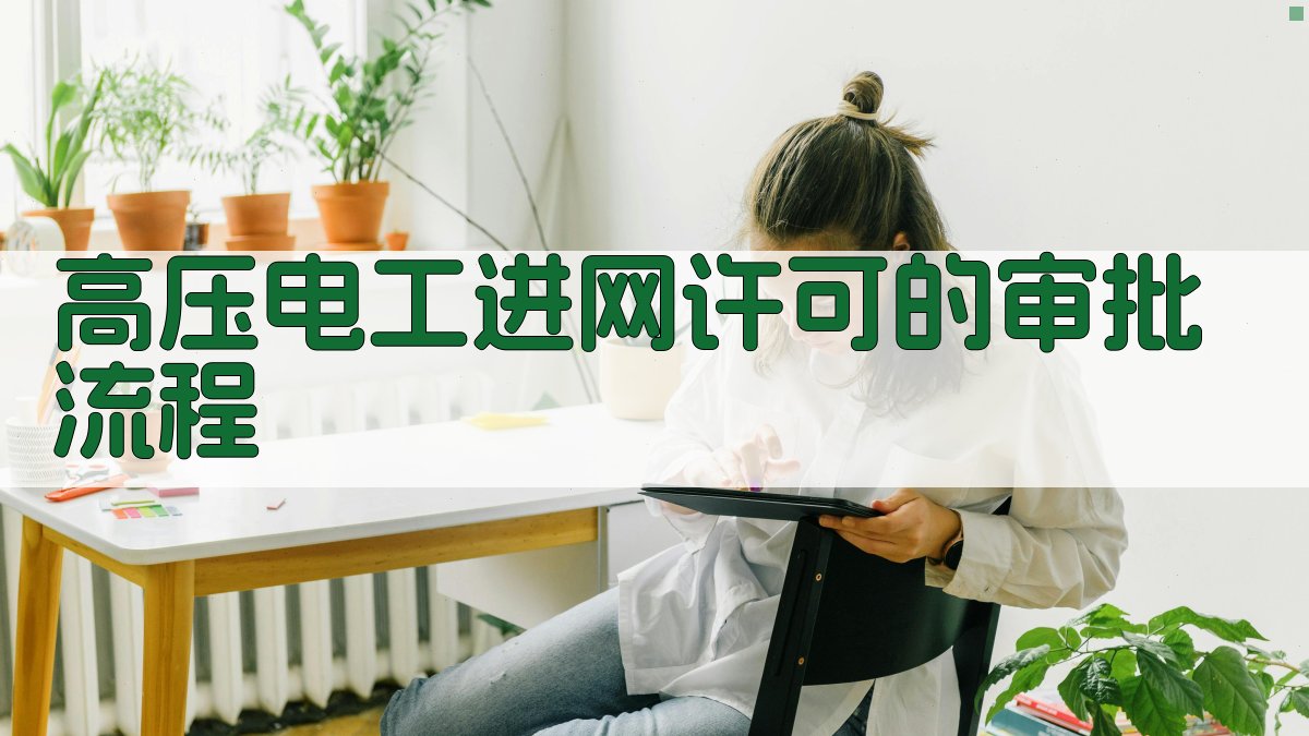 高压电工进网许可的审批流程 图2
