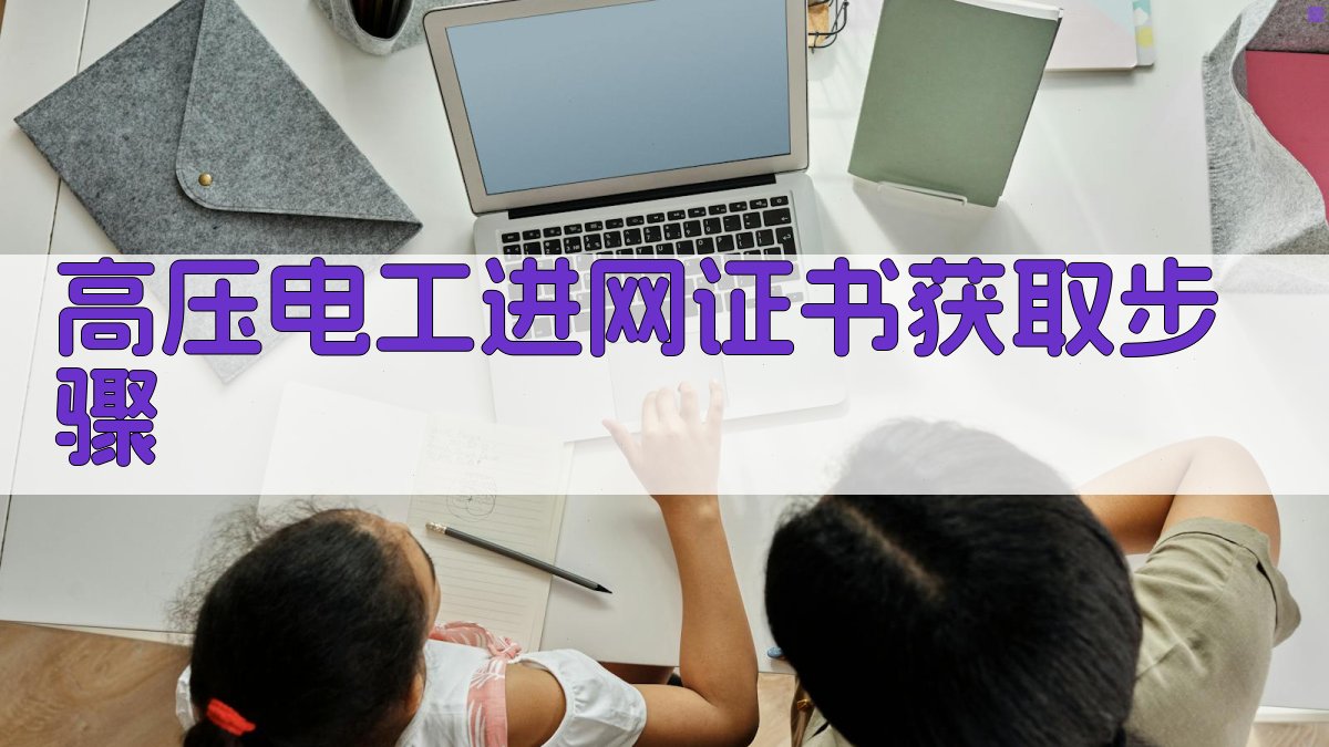 高压电工进网证书获取步骤 图2