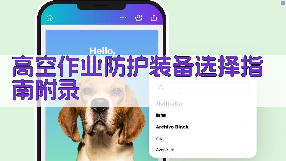 高空作业防护装备选择指南 · 附录 图4