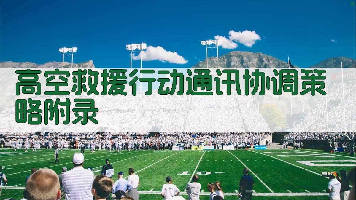 高空救援行动通讯协调策略 · 附录 图4