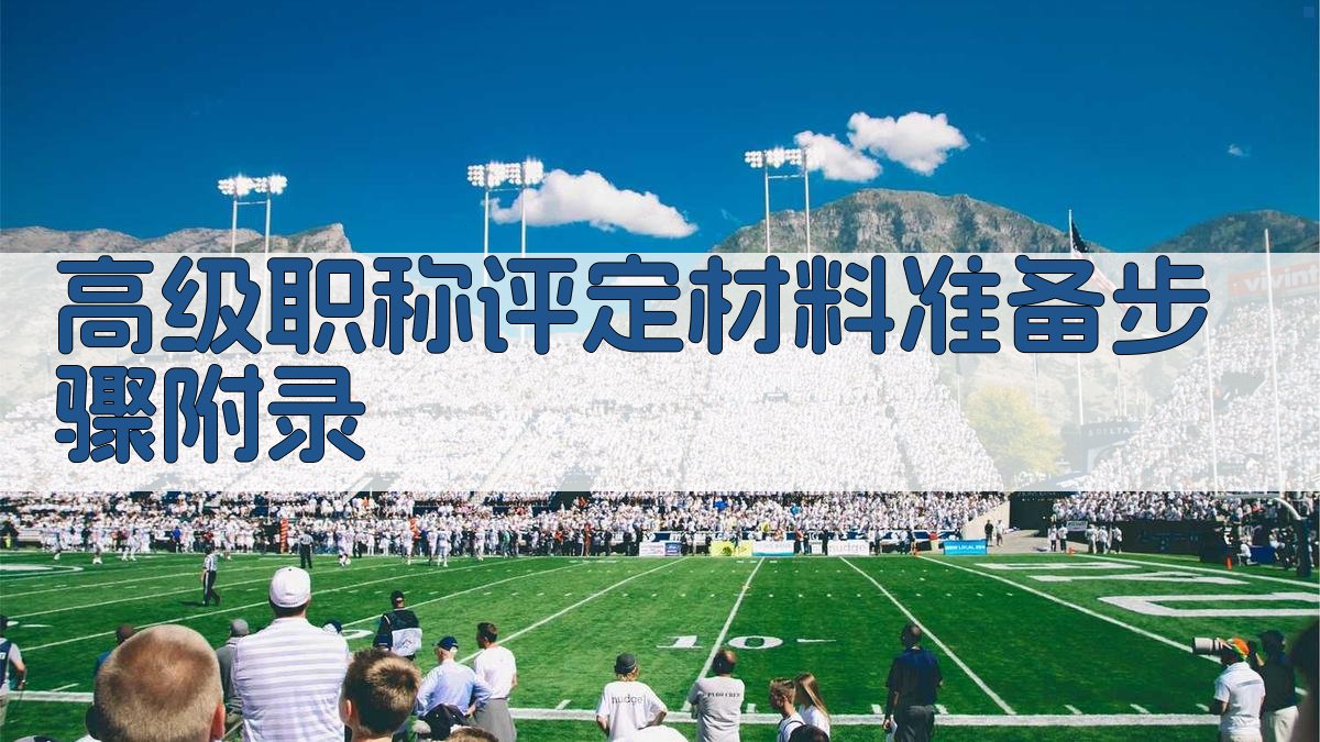 高级职称评定材料准备步骤 · 附录 图4