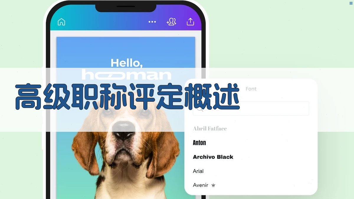 高级职称评定材料准备要点
