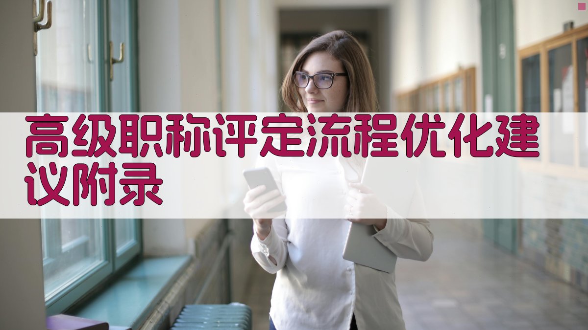 高级职称评定流程优化建议 · 附录 图4