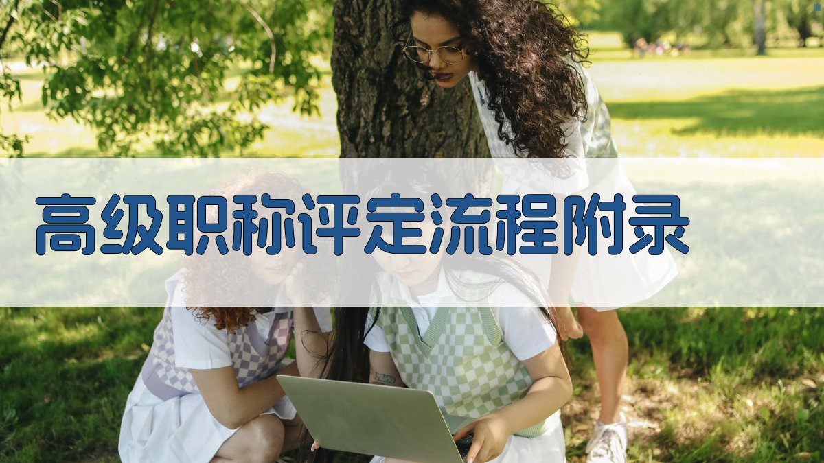 高级职称评定流程 · 附录 图4