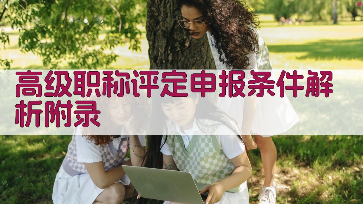 高级职称评定申报条件解析 · 附录 图5